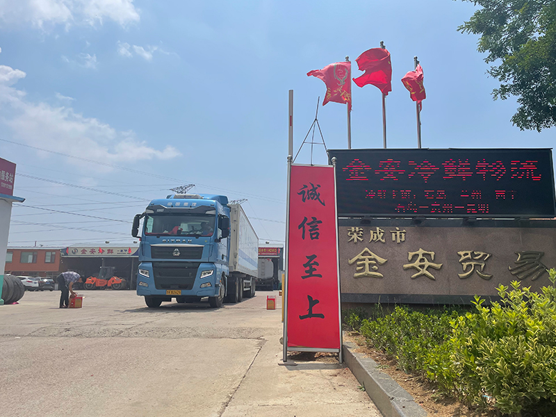 金安冷鲜企业宣传视频